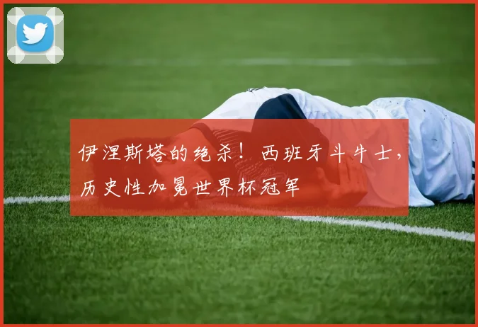 伊涅斯塔的绝杀！西班牙斗牛士，历史性加冕世界杯冠军