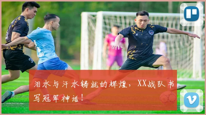 泪水与汗水铸就的辉煌，XX战队书写冠军神话！